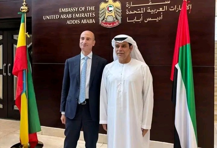 غلاف المقال