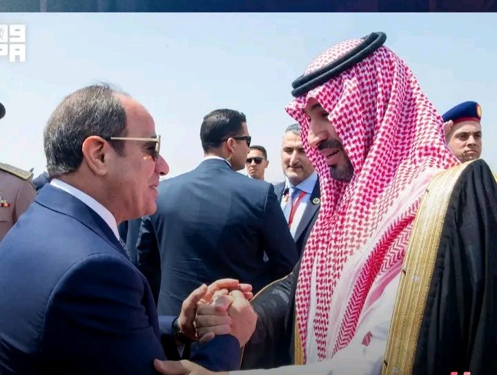 غلاف المقال