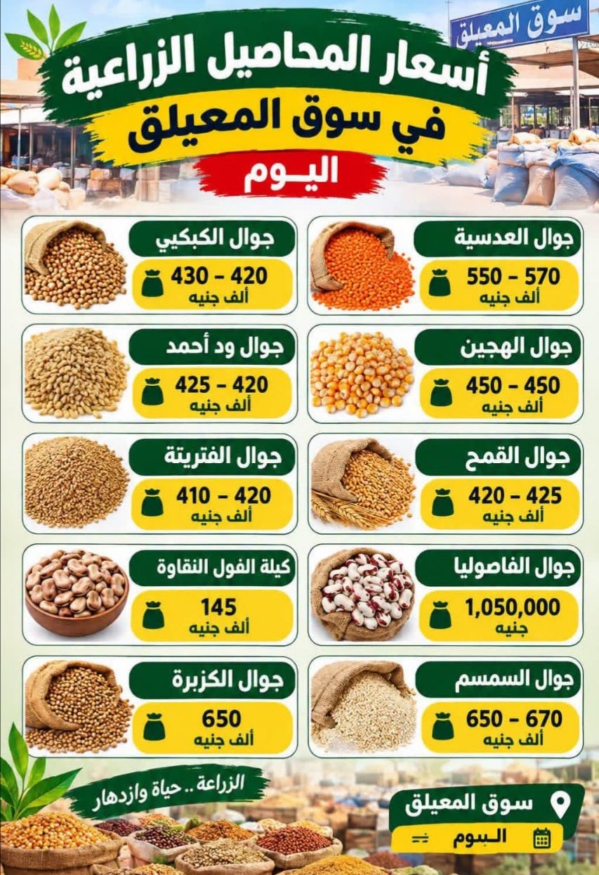 غلاف المقال