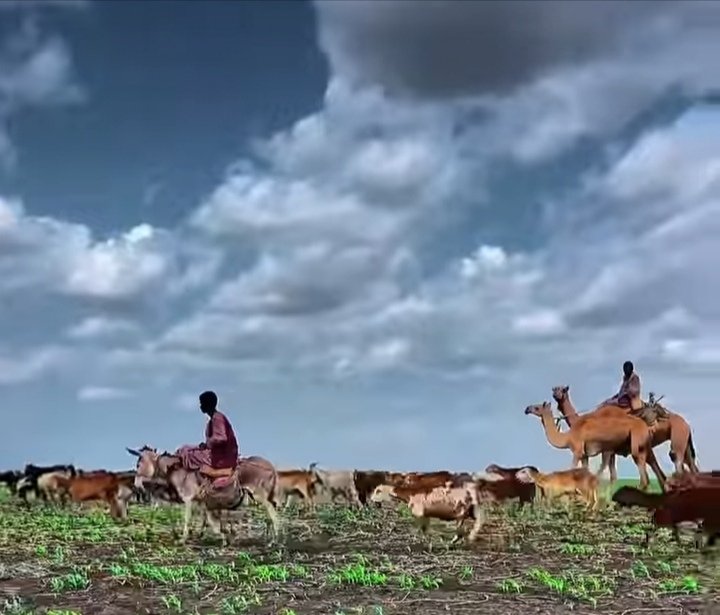غلاف المقال