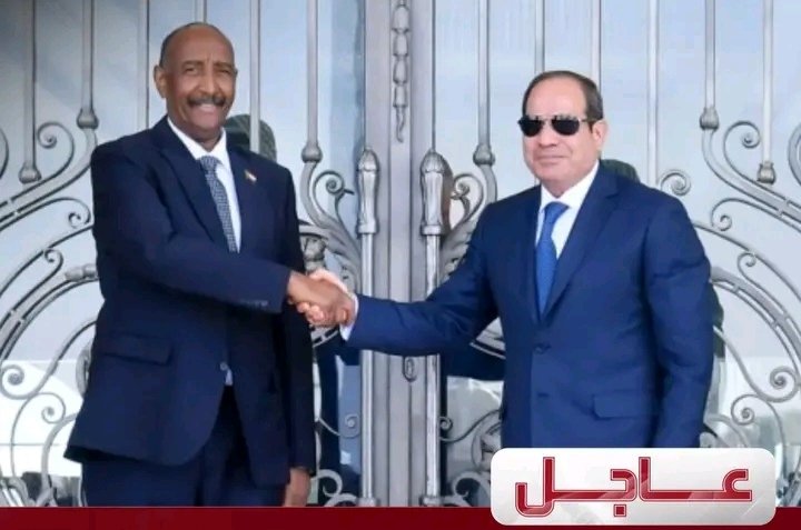 غلاف المقال