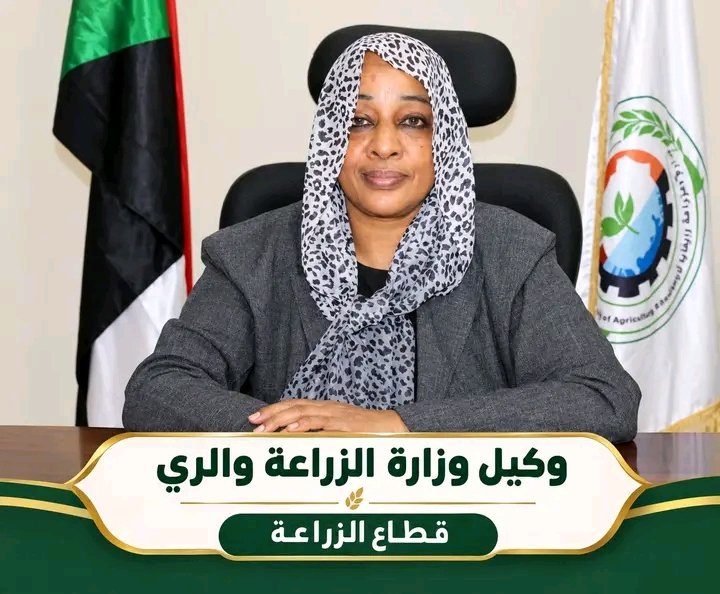 غلاف المقال