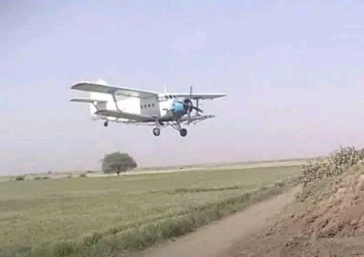 غلاف المقال
