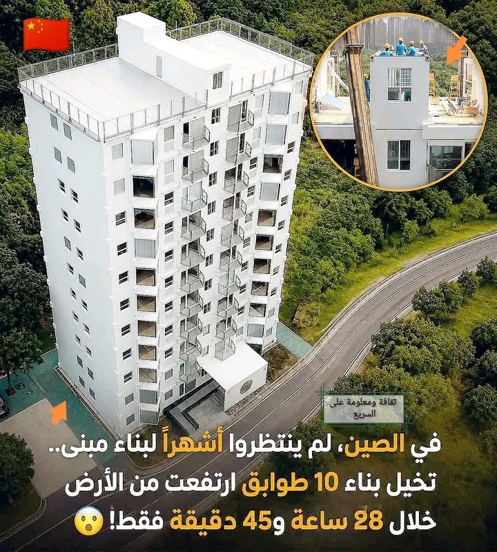 غلاف المقال