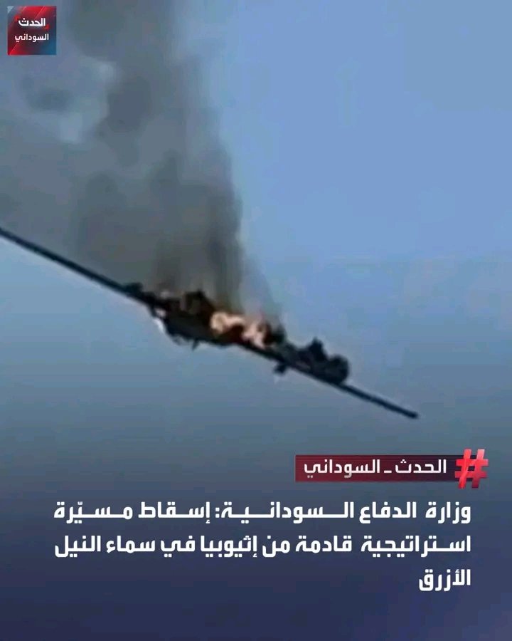 غلاف المقال